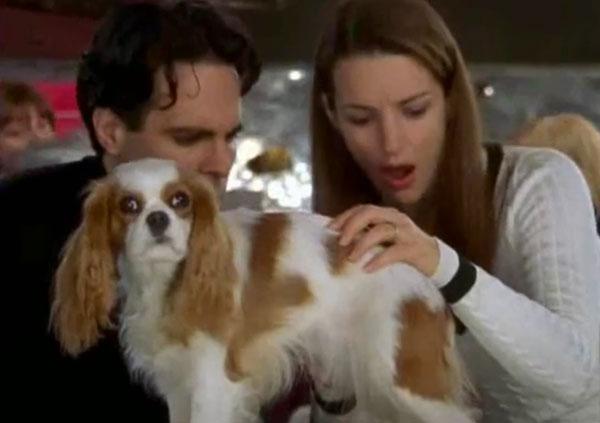 Charlottes Dog Elizabeth Taylor
