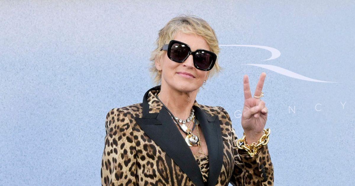 sharon stone finesse shampoo