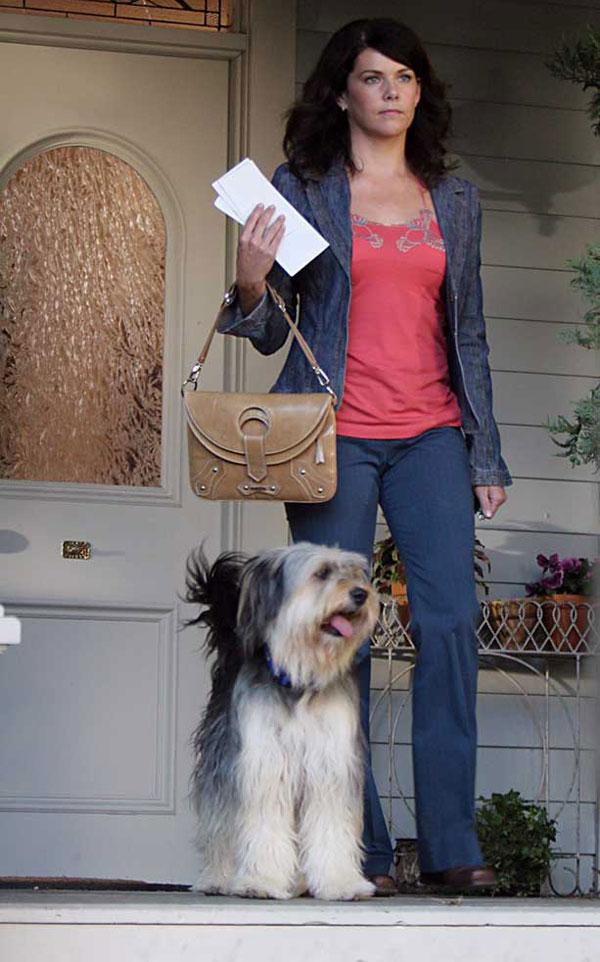 Paul Anka Gilmore Girls