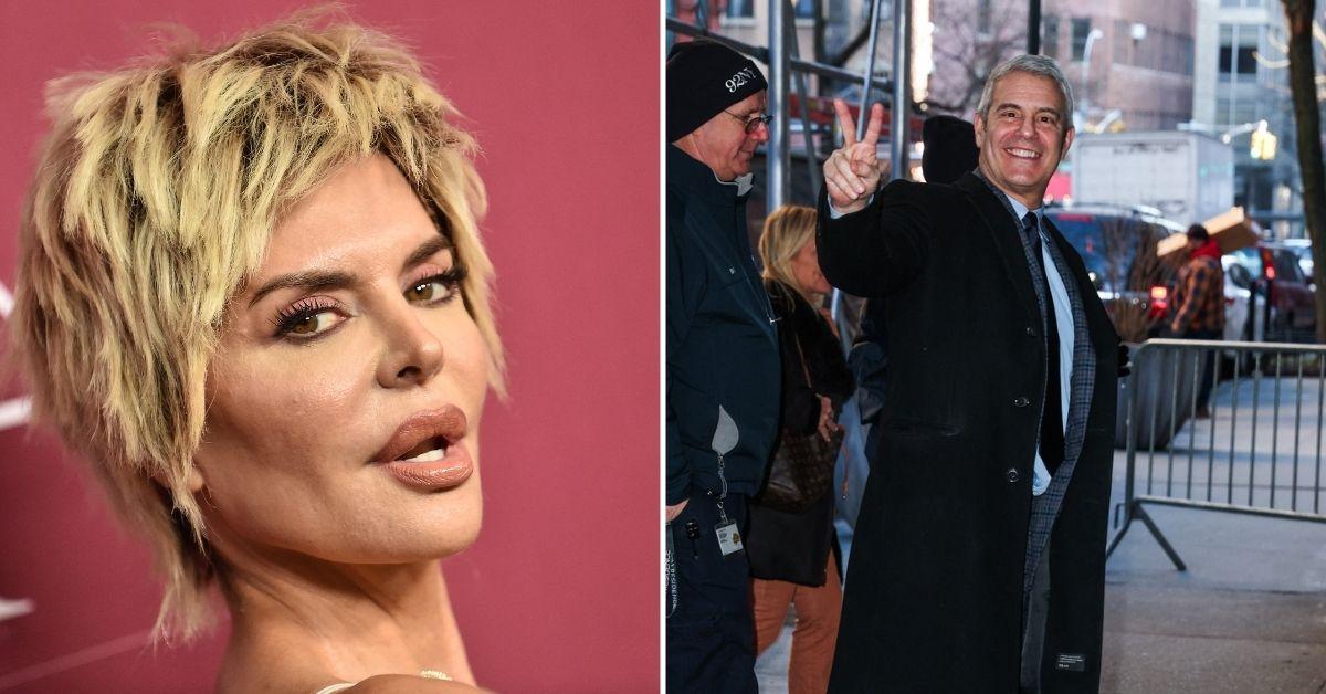 Composite photo of Lisa Rinna and Andy Cohen